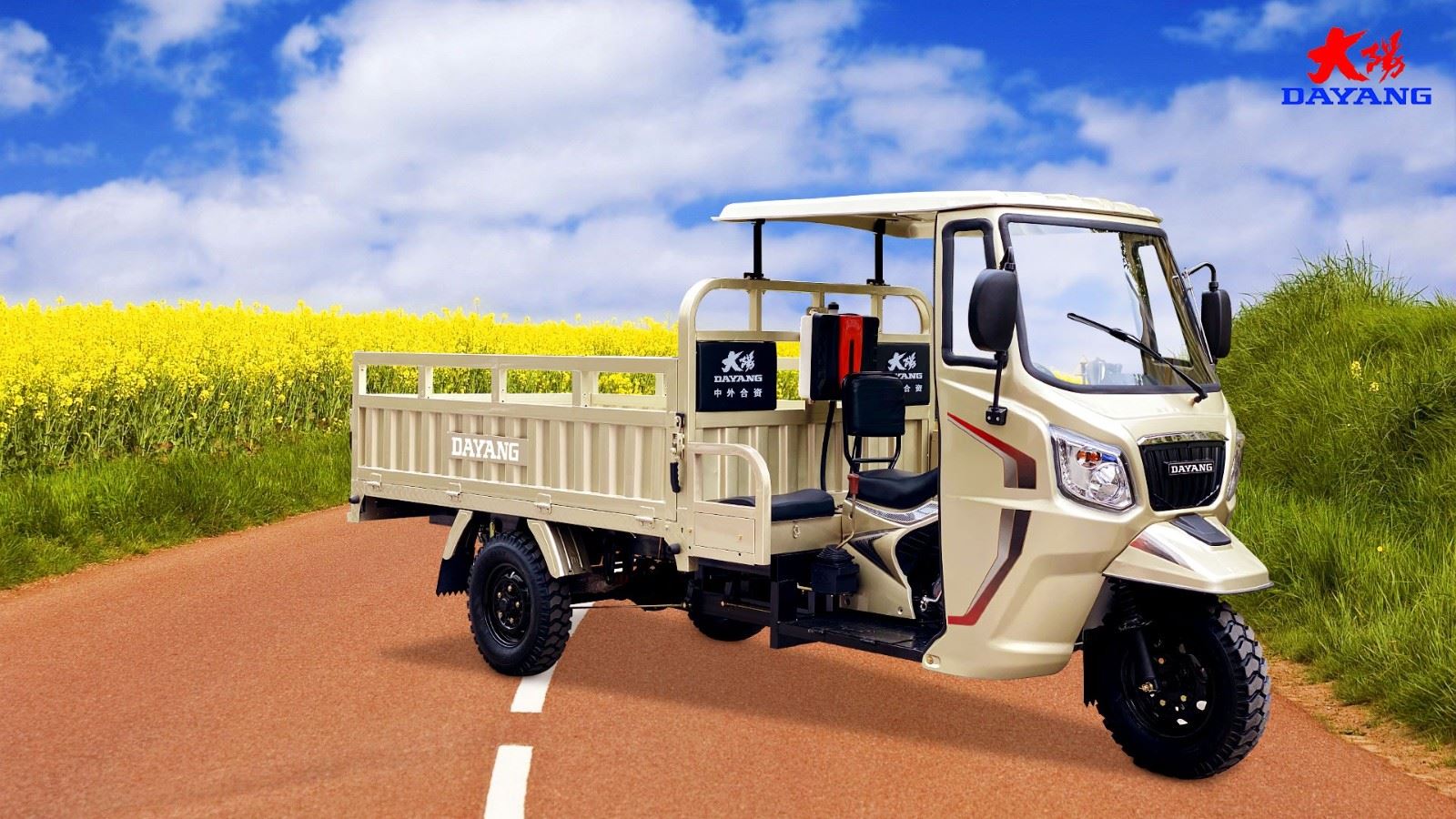 Three Wheel Gasoline Motor Tricycle 300cc
