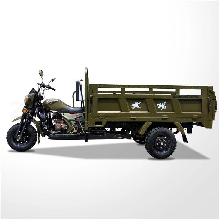 200cc Motorisé Carguero Trimoto