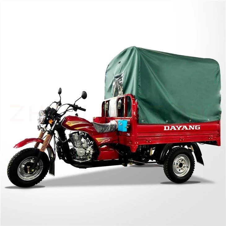 Carguero Motor Triciclo