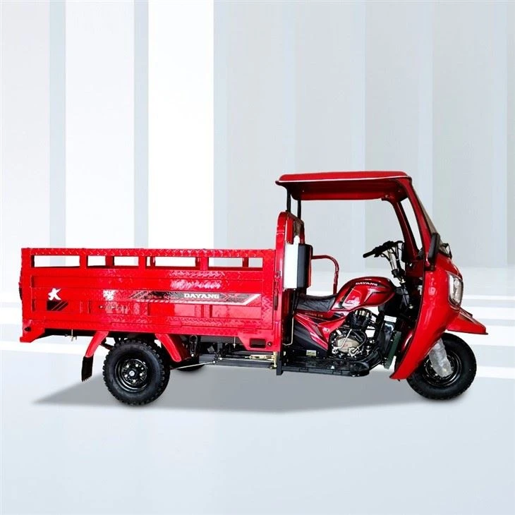 300cc Motocarro De Carga