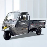 בקתה Carga Motocicleta Triciclo