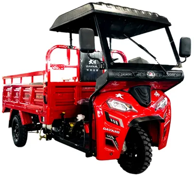 DAYANG 3 גלגלים זול Famer Cargo Passenger Tricycle